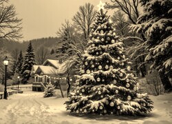 Sepia