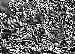 Skamielina