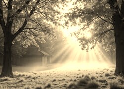 Sepia