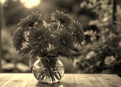 Szary + Sepia