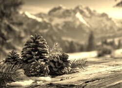 Szary + Sepia