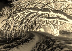 Sepia + Negatyw