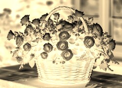 Sepia + Negatyw