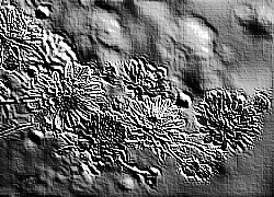 Skamielina