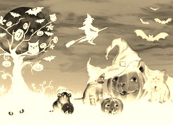 Sepia + Negatyw