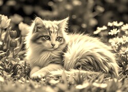 Sepia