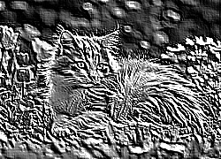 Skamielina