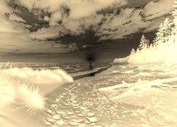 Sepia + Negatyw