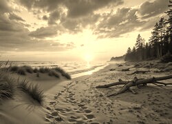 Szary + Sepia