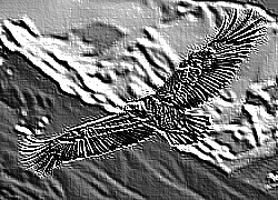 Skamielina