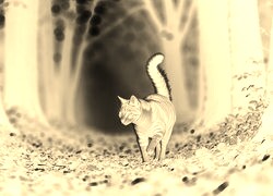 Sepia + Negatyw