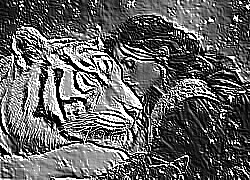 Skamielina