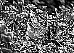 Skamielina