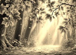 Szary + Sepia
