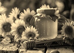Szary + Sepia