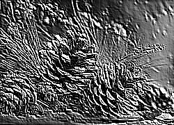 Skamielina