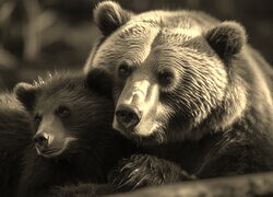 Sepia