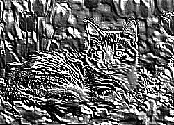 Skamielina