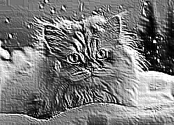Skamielina