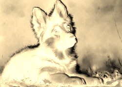 Sepia + Negatyw