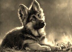 Sepia