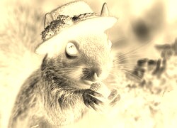 Sepia + Negatyw