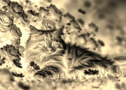 Sepia + Negatyw