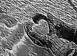 Skamielina