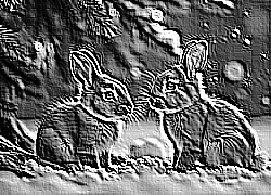 Skamielina