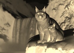 Sepia + Negatyw