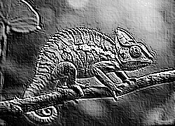 Skamielina