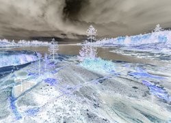 Negatyw
