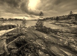 Szary + Sepia