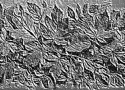 Skamielina