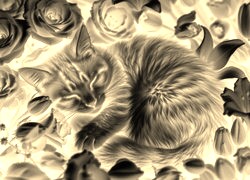 Sepia + Negatyw