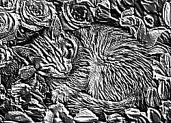 Skamielina