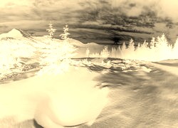 Sepia + Negatyw