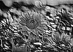 Skamielina