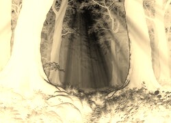 Sepia + Negatyw
