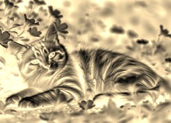 Sepia + Negatyw