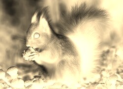 Sepia + Negatyw
