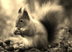 Sepia