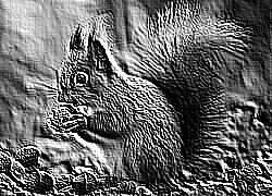 Skamielina