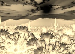 Sepia + Negatyw