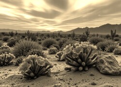Sepia