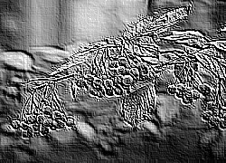 Skamielina