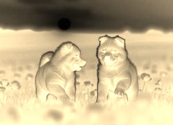 Sepia + Negatyw