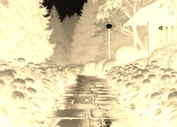Sepia + Negatyw