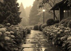 Sepia