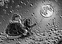 Skamielina